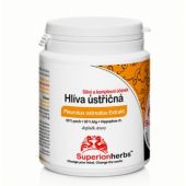 Hliva ustricová s extraktom z rakytníku - Superionherbs, 90 kps x 500 mg